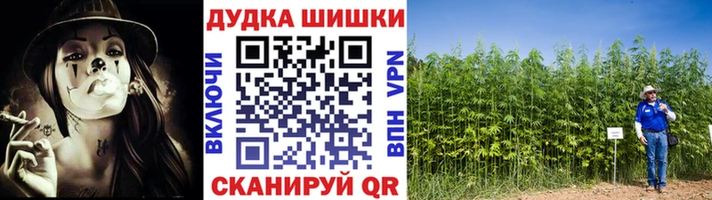Купить  Лыткарино  Канабис Bruce Banner 
